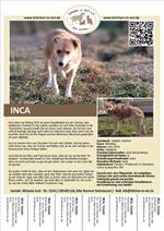 Flyer_Inca_2021-05-11__.jpg