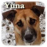 Update 21.05.2015 - Mama Yuma und 2 Babys